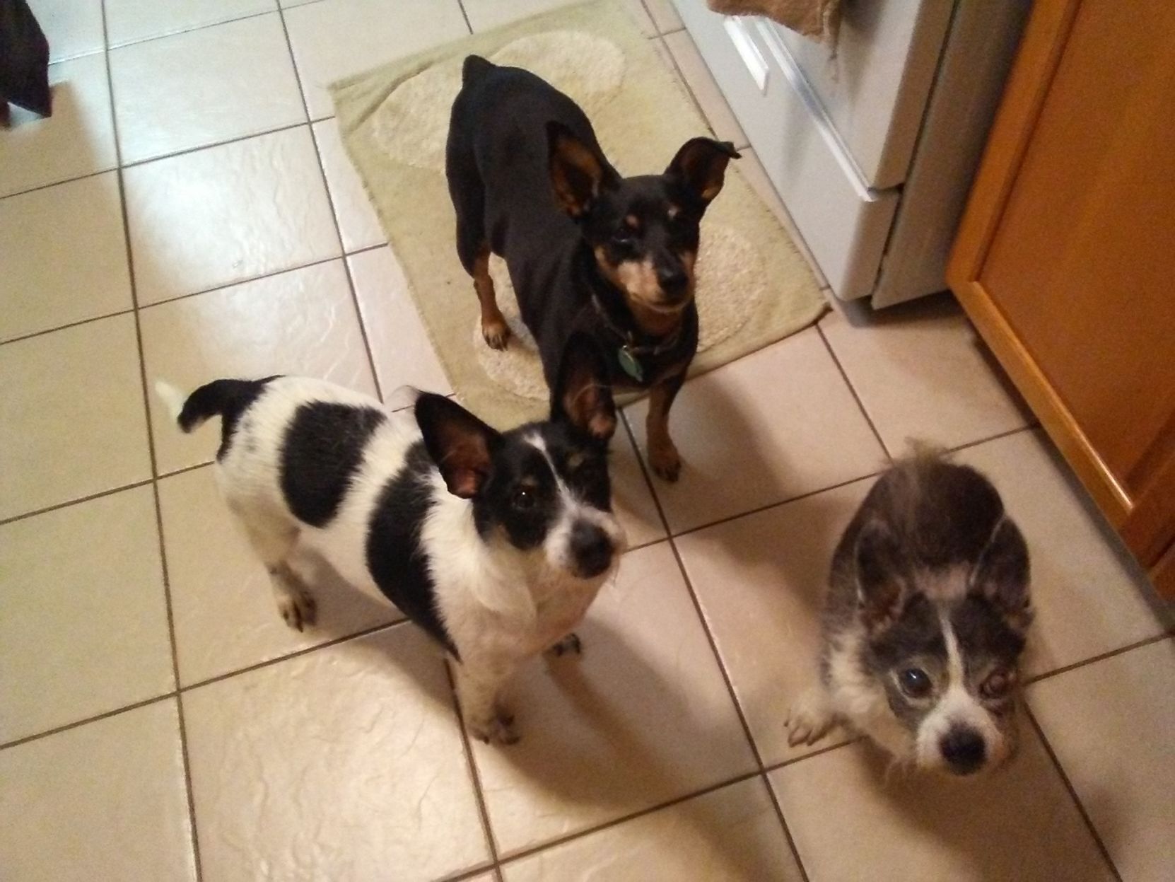 Leonard, Squiggy and Roxie